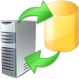 Data Conversion